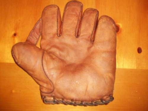 Thomas E. Wilson 601 1 Inch Web Front